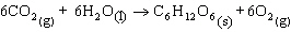 mc097-1.jpg