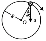 mc006-1.jpg