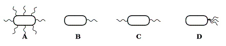 mc033-1.jpg